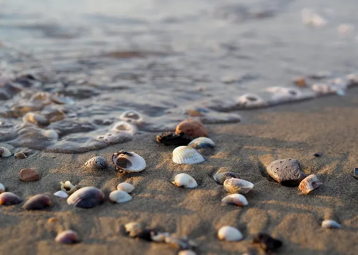 Daire Lovely Flat In A Building Surrounded By Garden